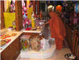 janmashtami (55).jpg